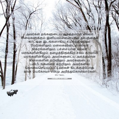 Picture 07 - எசேக்கியேல் 6:13 TAMIRV - அவர்கள் தங்களுடைய - Bible Verse Picture