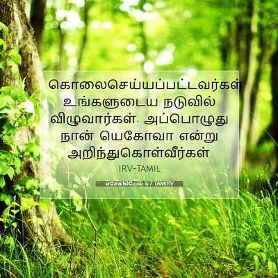 Picture 07 - எசேக்கியேல் 6:7 TAMIRV -  - Bible Verse Picture