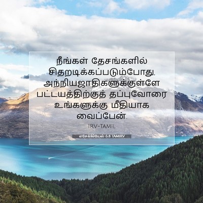 Picture 07 - எசேக்கியேல் 6:8 TAMIRV - நீங்கள் - Bible Verse Picture