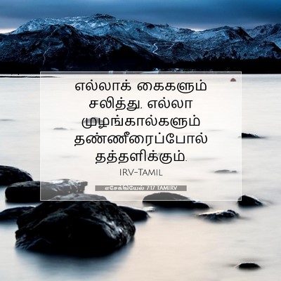 Picture 07 - எசேக்கியேல் 7:17 TAMIRV - எல்லாக் கைகளும் - Bible Verse Picture