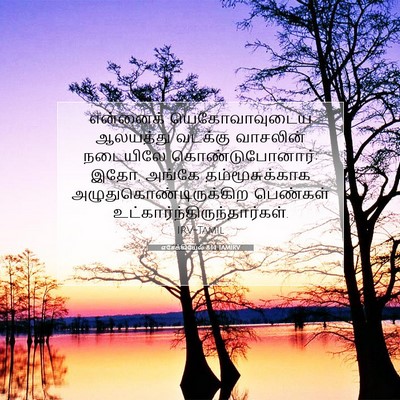 Picture 07 - எசேக்கியேல் 8:14 TAMIRV - என்னைக் - Bible Verse Picture