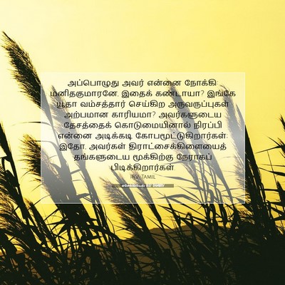 Picture 07 - எசேக்கியேல் 8:17 TAMIRV - அப்பொழுது அவர் - Bible Verse Picture