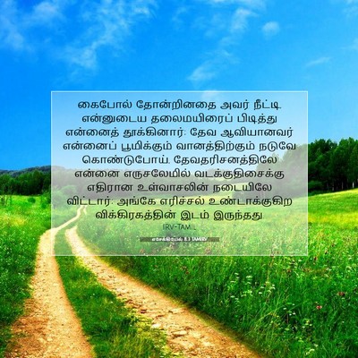 Picture 07 - எசேக்கியேல் 8:3 TAMIRV - கைபோல் தோன்றினதை - Bible Verse Picture