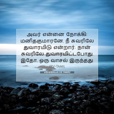 Picture 07 - எசேக்கியேல் 8:8 TAMIRV - அவர் என்னை நோக்கி: - Bible Verse Picture