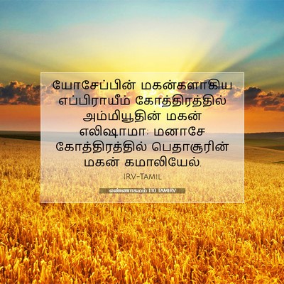 Picture 07 - எண்ணாகமம் 1:10 TAMIRV - யோசேப்பின் - Bible Verse Picture