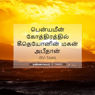 Picture 07 - எண்ணாகமம் 1:11 TAMIRV - பென்யமீன் - Bible Verse Picture