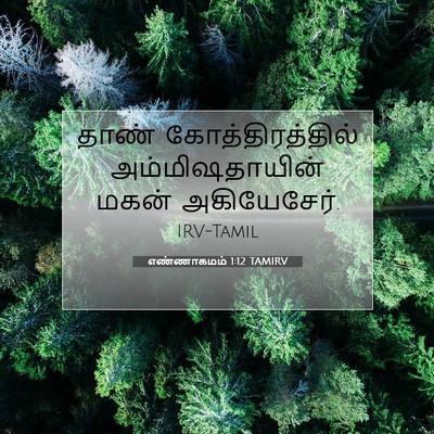 Picture 07 - எண்ணாகமம் 1:12 TAMIRV - தாண் - Bible Verse Picture