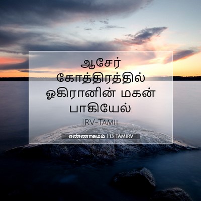 Picture 07 - எண்ணாகமம் 1:13 TAMIRV - ஆசேர் - Bible Verse Picture