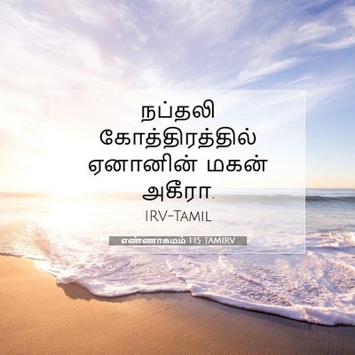 Picture 07 - எண்ணாகமம் 1:15 TAMIRV - நப்தலி - Bible Verse Picture