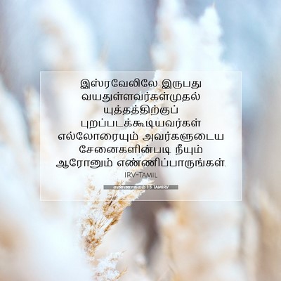 Picture 07 - எண்ணாகமம் 1:3 TAMIRV - இஸ்ரவேலிலே இருபது - Bible Verse Picture