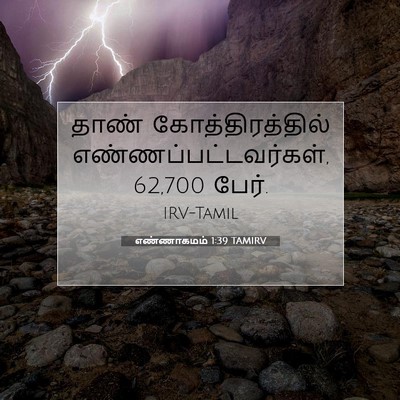 Picture 07 - எண்ணாகமம் 1:39 TAMIRV - தாண் - Bible Verse Picture