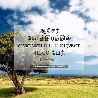 Picture 07 - எண்ணாகமம் 1:41 TAMIRV - ஆசேர் - Bible Verse Picture