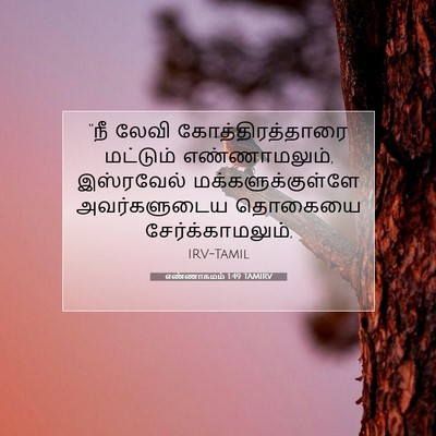 Picture 07 - எண்ணாகமம் 1:49 TAMIRV - “நீ லேவி - Bible Verse Picture