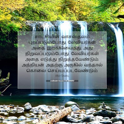 Picture 07 - எண்ணாகமம் 1:51 TAMIRV - சாட்சியின் - Bible Verse Picture