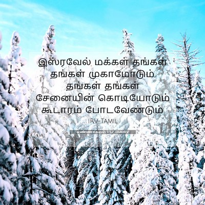 Picture 07 - எண்ணாகமம் 1:52 TAMIRV - இஸ்ரவேல் மக்கள் - Bible Verse Picture