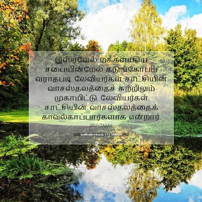 Picture 07 - எண்ணாகமம் 1:53 TAMIRV - இஸ்ரவேல் - Bible Verse Picture