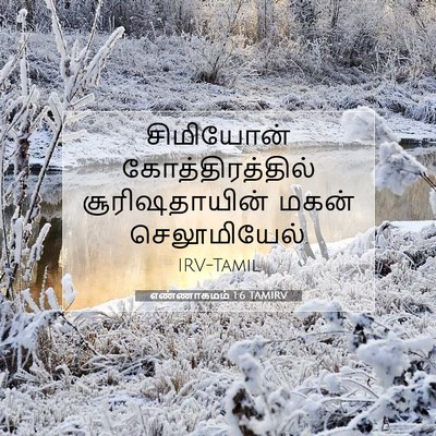 Picture 07 - எண்ணாகமம் 1:6 TAMIRV - சிமியோன் - Bible Verse Picture