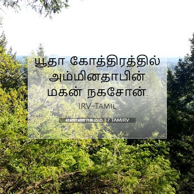 Picture 07 - எண்ணாகமம் 1:7 TAMIRV - யூதா - Bible Verse Picture