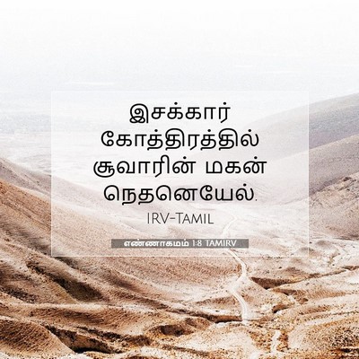 Picture 07 - எண்ணாகமம் 1:8 TAMIRV - இசக்கார் - Bible Verse Picture