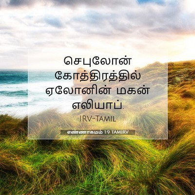 Picture 07 - எண்ணாகமம் 1:9 TAMIRV - செபுலோன் - Bible Verse Picture