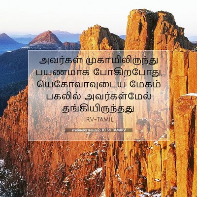 Picture 07 - எண்ணாகமம் 10:34 TAMIRV - அவர்கள் - Bible Verse Picture