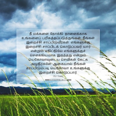 Picture 07 - எண்ணாகமம் 11:18 TAMIRV - நீ மக்களை நோக்கி: - Bible Verse Picture