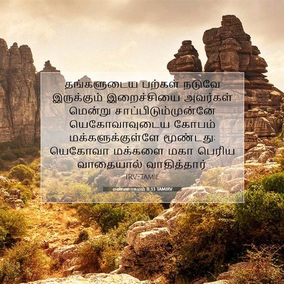 Picture 07 - எண்ணாகமம் 11:33 TAMIRV - தங்களுடைய பற்கள் - Bible Verse Picture
