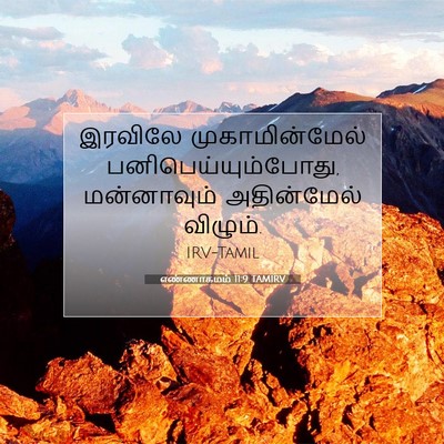 Picture 07 - எண்ணாகமம் 11:9 TAMIRV - இரவிலே - Bible Verse Picture