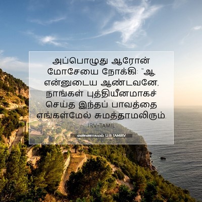 Picture 07 - எண்ணாகமம் 12:11 TAMIRV - அப்பொழுது ஆரோன் - Bible Verse Picture