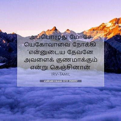 Picture 07 - எண்ணாகமம் 12:13 TAMIRV - அப்பொழுது மோசே - Bible Verse Picture
