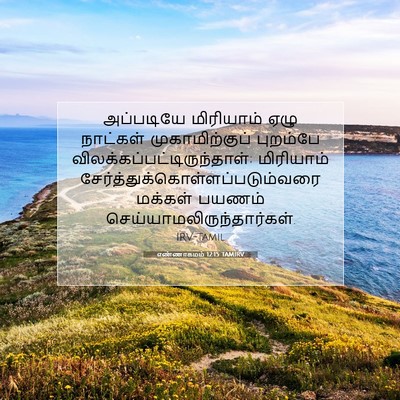 Picture 07 - எண்ணாகமம் 12:15 TAMIRV - அப்படியே மிரியாம் - Bible Verse Picture