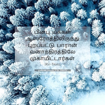 Picture 07 - எண்ணாகமம் 12:16 TAMIRV - பின்பு, மக்கள் - Bible Verse Picture