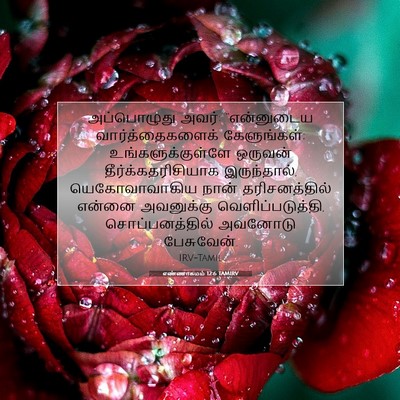 Picture 07 - எண்ணாகமம் 12:6 TAMIRV - அப்பொழுது அவர்: - Bible Verse Picture