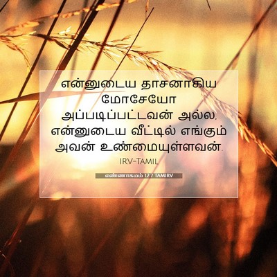 Picture 07 - எண்ணாகமம் 12:7 TAMIRV - என்னுடைய தாசனாகிய - Bible Verse Picture