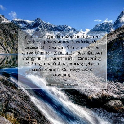 Picture 07 - எண்ணாகமம் 12:8 TAMIRV - நான் அவனுடன் - Bible Verse Picture