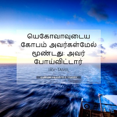 Picture 07 - எண்ணாகமம் 12:9 TAMIRV - யெகோவாவுடைய கோபம் - Bible Verse Picture