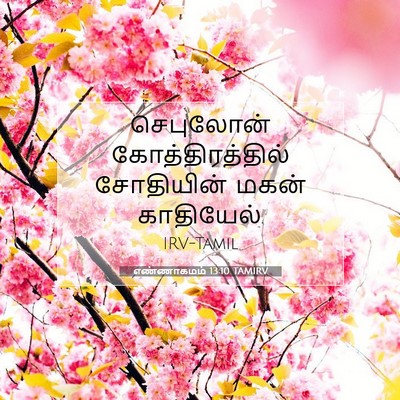 Picture 07 - எண்ணாகமம் 13:10 TAMIRV - செபுலோன் - Bible Verse Picture