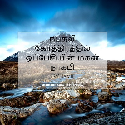 Picture 07 - எண்ணாகமம் 13:14 TAMIRV - நப்தலி - Bible Verse Picture