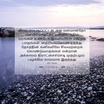 Picture 07 - எண்ணாகமம் 13:20 TAMIRV - நிலம் - Bible Verse Picture