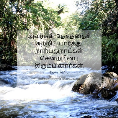 Picture 07 - எண்ணாகமம் 13:25 TAMIRV - அவர்கள் தேசத்தைச் - Bible Verse Picture