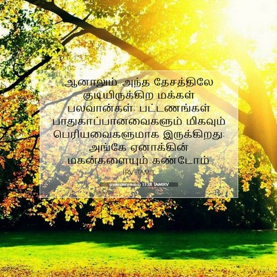 Picture 07 - எண்ணாகமம் 13:28 TAMIRV - ஆனாலும், அந்த - Bible Verse Picture