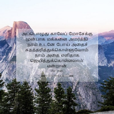Picture 07 - எண்ணாகமம் 13:30 TAMIRV - அப்பொழுது காலேப் - Bible Verse Picture