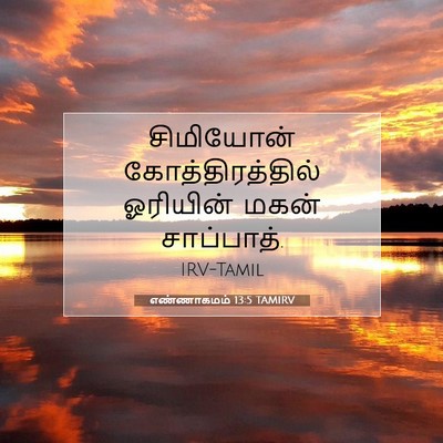 Picture 07 - எண்ணாகமம் 13:5 TAMIRV - சிமியோன் - Bible Verse Picture