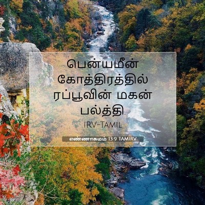 Picture 07 - எண்ணாகமம் 13:9 TAMIRV - பென்யமீன் - Bible Verse Picture