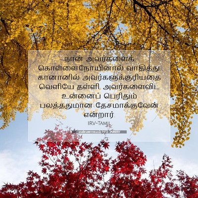 Picture 07 - எண்ணாகமம் 14:12 TAMIRV - நான் அவர்களைக் - Bible Verse Picture