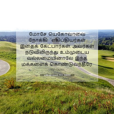 Picture 07 - எண்ணாகமம் 14:13 TAMIRV - மோசே யெகோவாவை - Bible Verse Picture