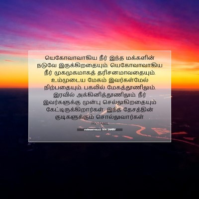 Picture 07 - எண்ணாகமம் 14:14 TAMIRV - யெகோவாவாகிய நீர் - Bible Verse Picture