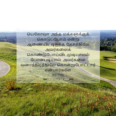 Picture 07 - எண்ணாகமம் 14:16 TAMIRV - யெகோவா அந்த - Bible Verse Picture