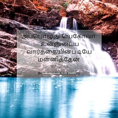 Picture 07 - எண்ணாகமம் 14:20 TAMIRV - அப்பொழுது யெகோவா: - Bible Verse Picture