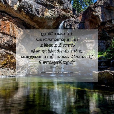 Picture 07 - எண்ணாகமம் 14:21 TAMIRV - பூமியெல்லாம் - Bible Verse Picture